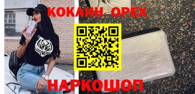 гидра Малгобек