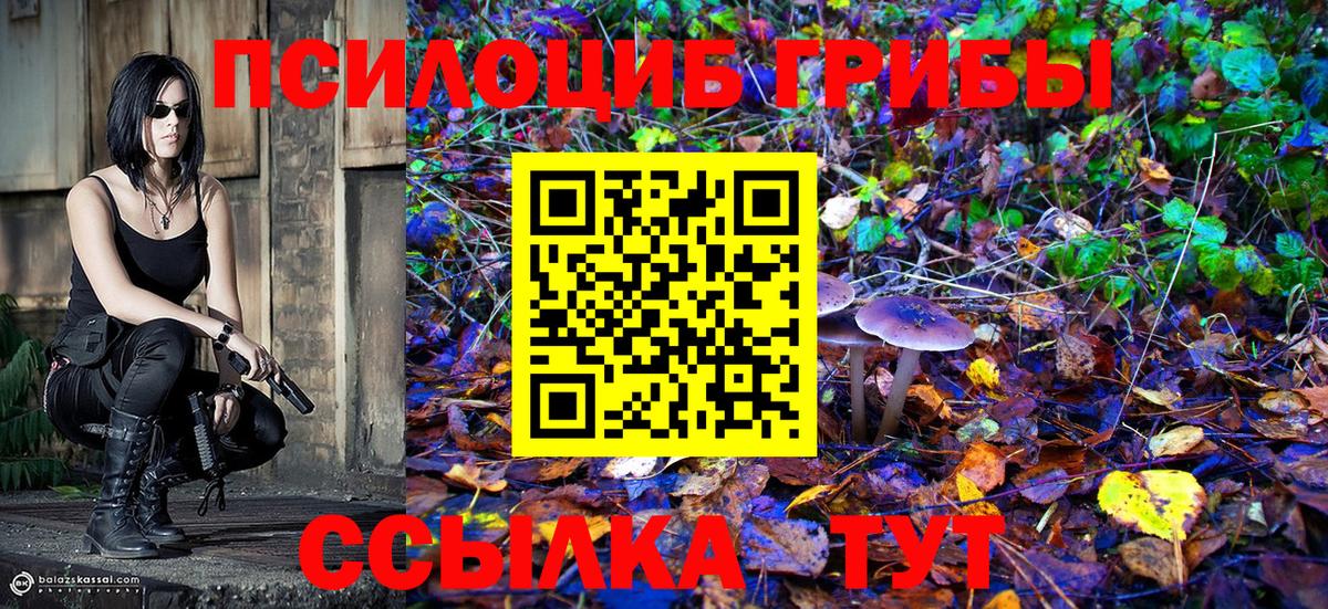 Псилоцибиновые грибы GOLDEN TEACHER  Вход с VPN  Великие Луки 